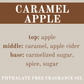 CARAMEL APPLE JUMBO WAX MELT