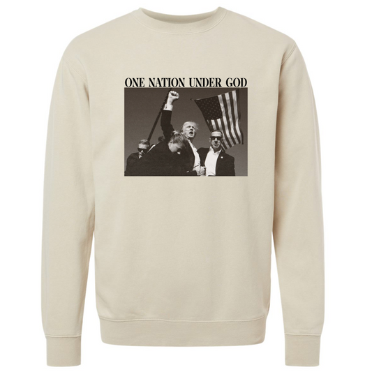 ONE NATION SWEATSHIRT