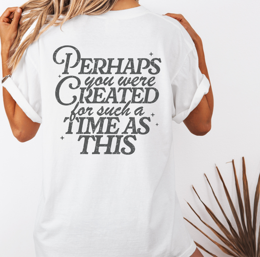 YOU WERE CREATED TSHIRT