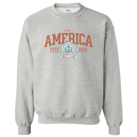 AMERICA SWEATSHIRT (READ DESCRIPTION)