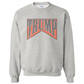 T R U M P SWEATSHIRT (READ DESCRIPTION)