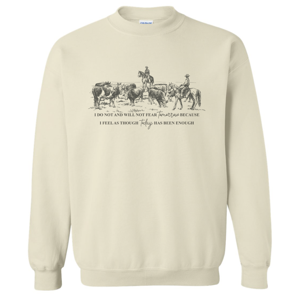 WILL NOT FEAR SWEATSHIRT (READ DESCRIPTION)
