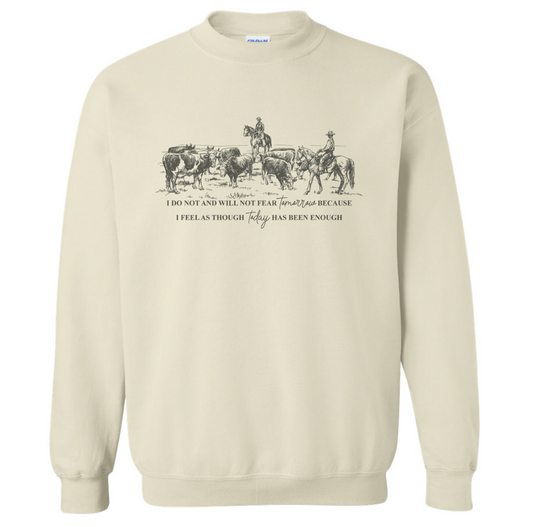 WILL NOT FEAR SWEATSHIRT (READ DESCRIPTION)
