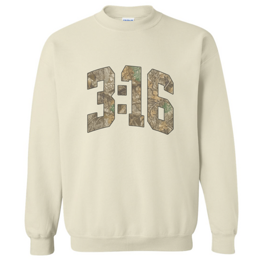 3:16 SWEATSHIRT