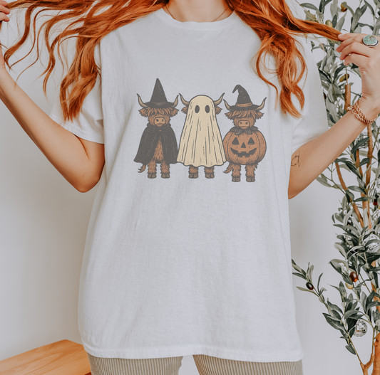 HIGHLAND GHOSTS TSHIRT