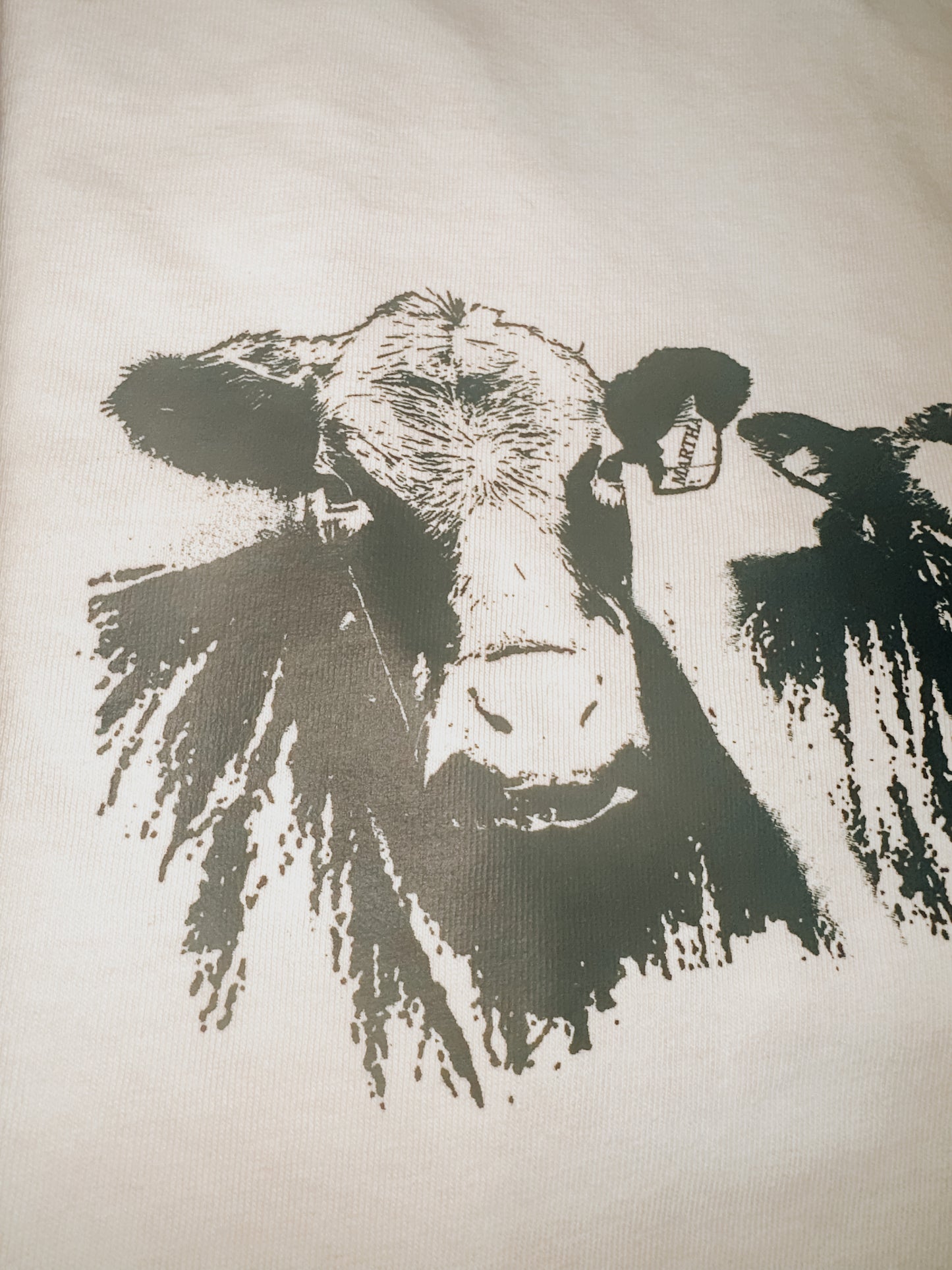 EMILY'S CATTLE TSHIRT