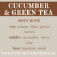 CUCUMBER & GREEN TEA JUMBO WAX MELT
